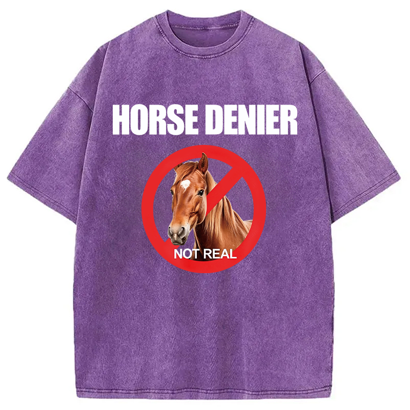 Modecanvas Horse Denier Funny Horses Washed T-Shirt-modecanvas