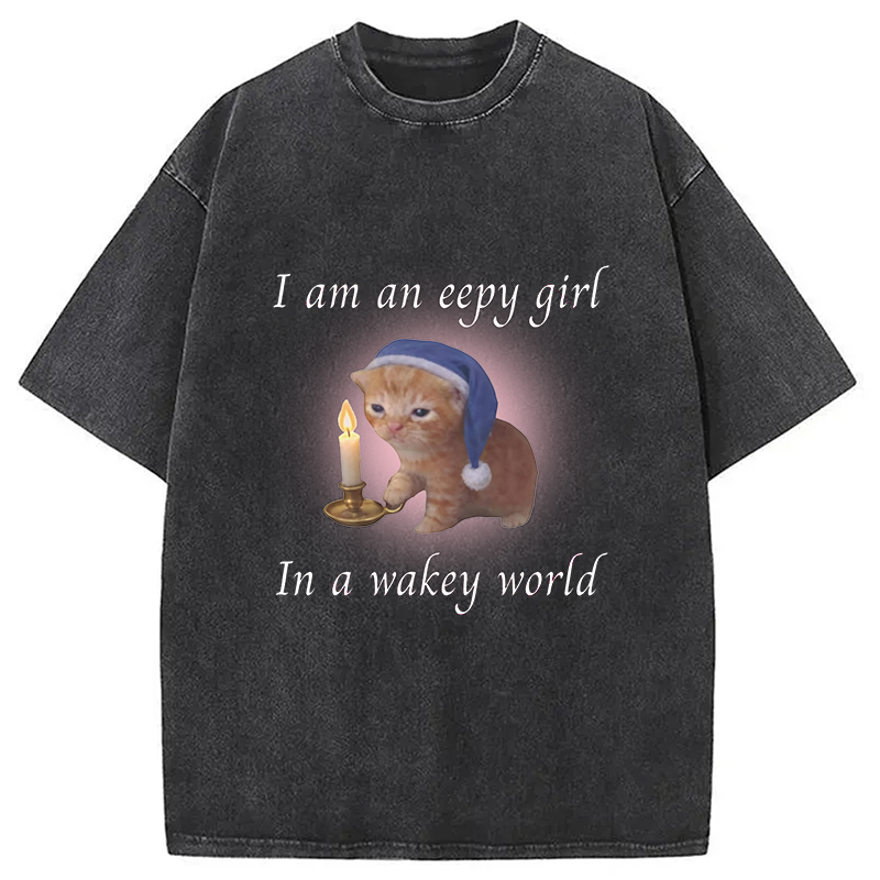 Modecanvas Eepy Girl Cat Meme DTG Printing Washed T-Shirt