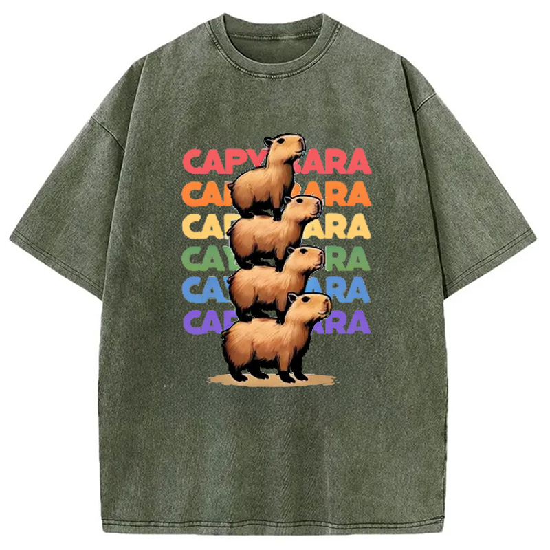 Modecanvas Funny Capybara Washed T-Shirt
