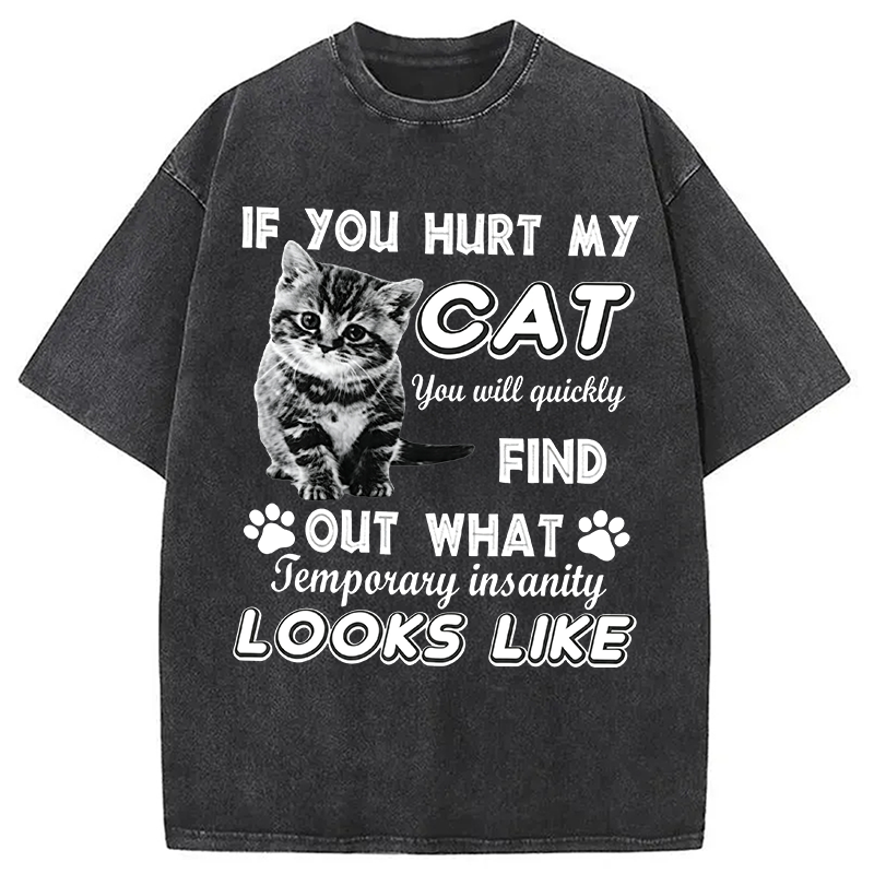 Modecanvas If You Hurt My Cat DTG Printing Washed T-Shirt