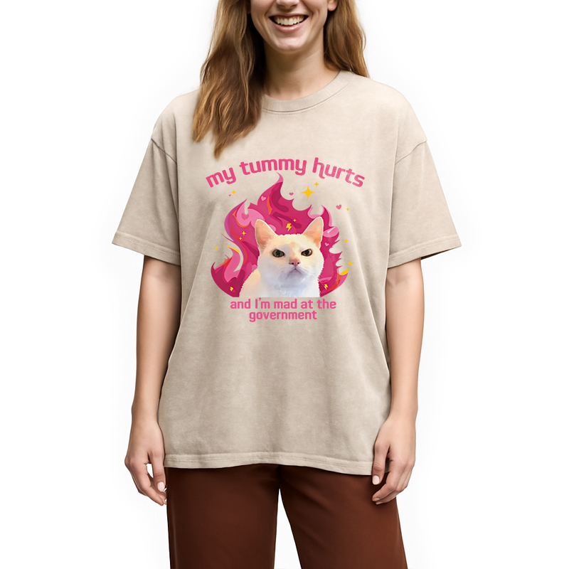 Modecanvas My Tummy Hurts Funny Cat Meme DTG Printing Washed T-Shirt