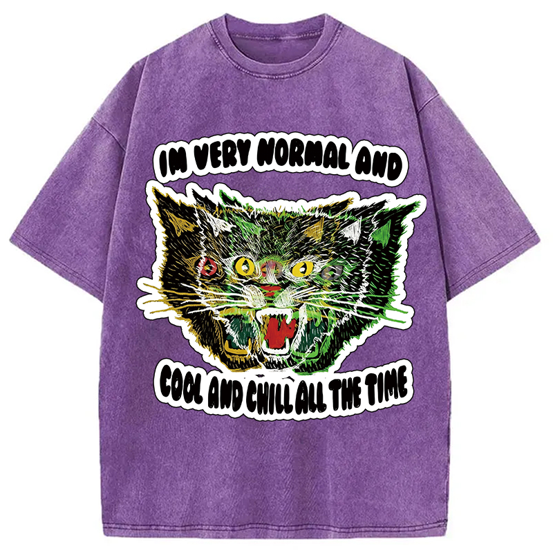 Modecanvas Normal And Chill Cat DTG Printing Washed T-Shirt