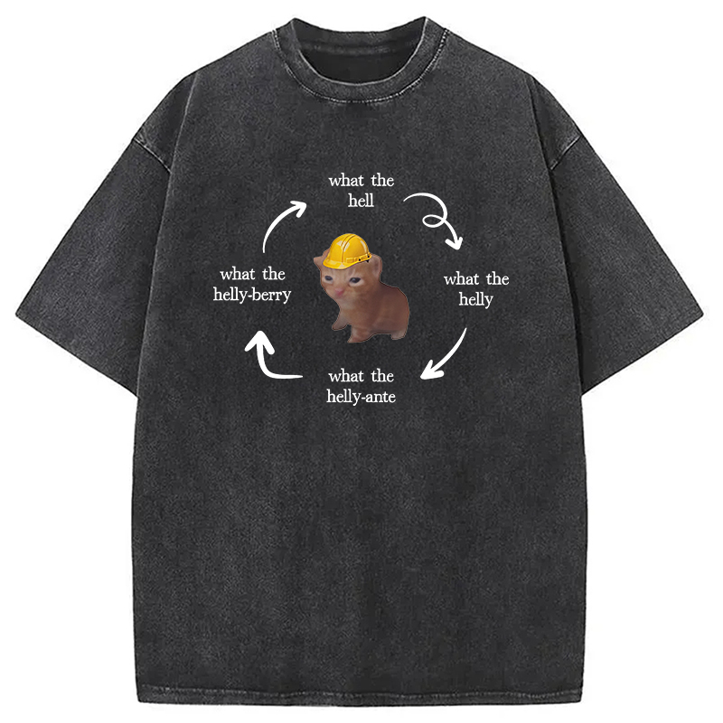 Modecanvas What The Helly Funny Cat Meme DTG Printing Washed T-Shirt