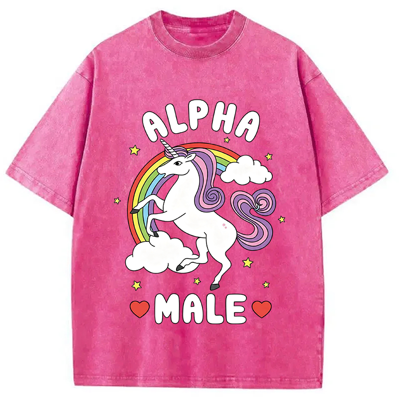 Modecanvas Alpha Male Energy Unicorn DTG Printing Washed T-Shirt
