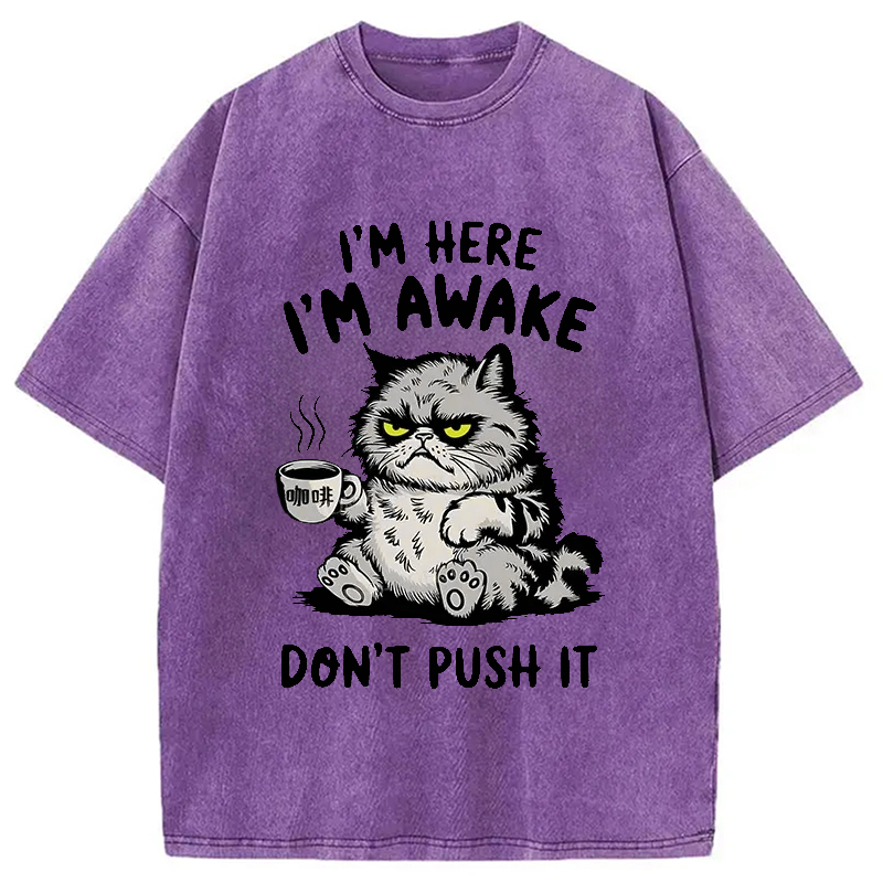 Modecanvas Tired Cat Washed T-Shirt