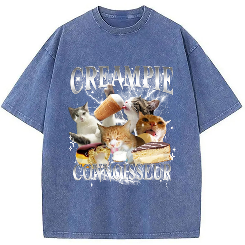 Modecanvas Creampie Connoisseur Meme Washed T-Shirt-modecanvas