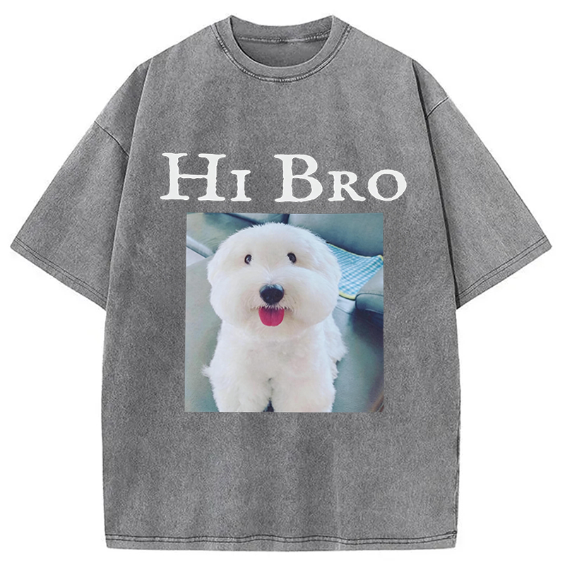 Modecanvas Hi Bro Dog Meme DTG Printing Washed T-Shirt