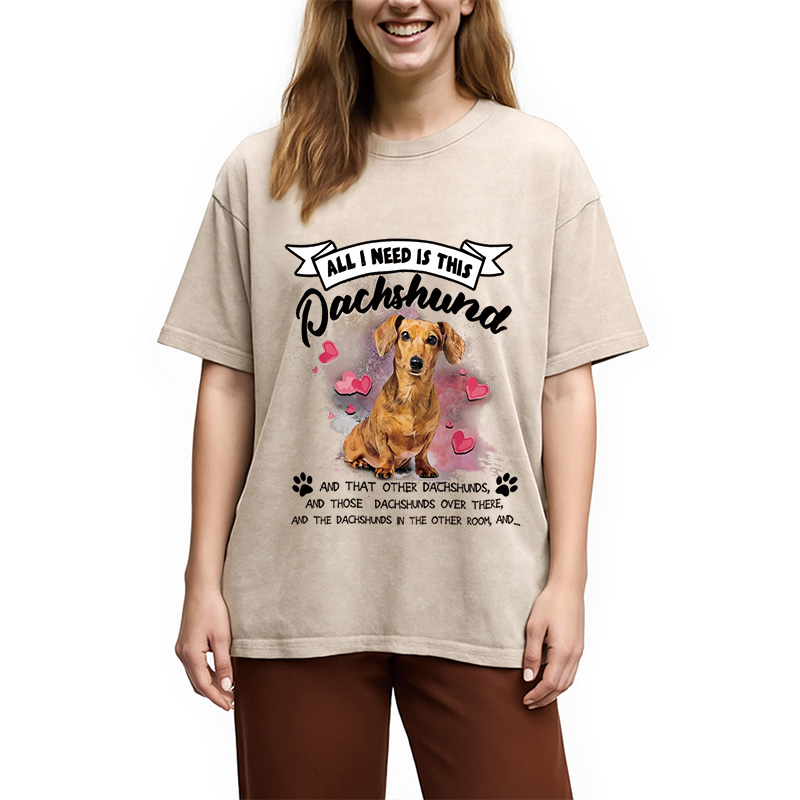 Modecanvas All I Need This Washed T-Shirt