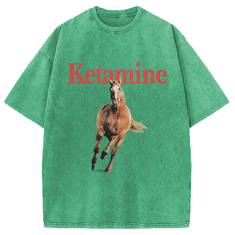 Modecanvas Ketamine Horse Run DTG Printing Washed T-Shirt