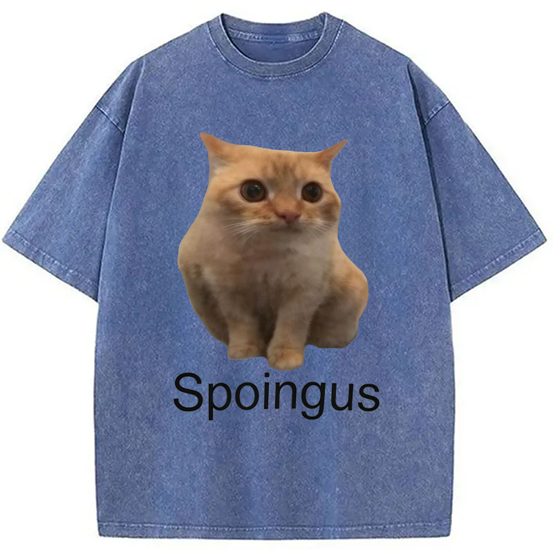 Modecanvas Spoingus The Cat Meme DTG Printing Washed T-Shirt