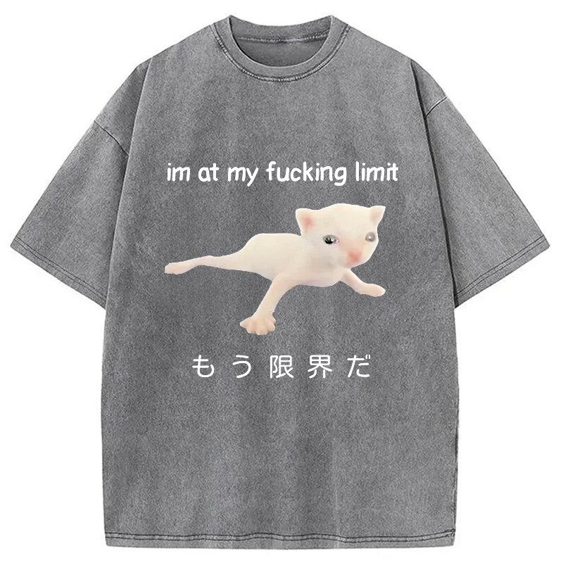 Modecanvas Cat Reaching Its Limit Washed T-Shirt-modecanvas