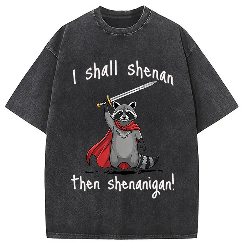 Modecanvas I Shall Shenan Cute Raccoon Meme DTG Printing Washed T-Shirt