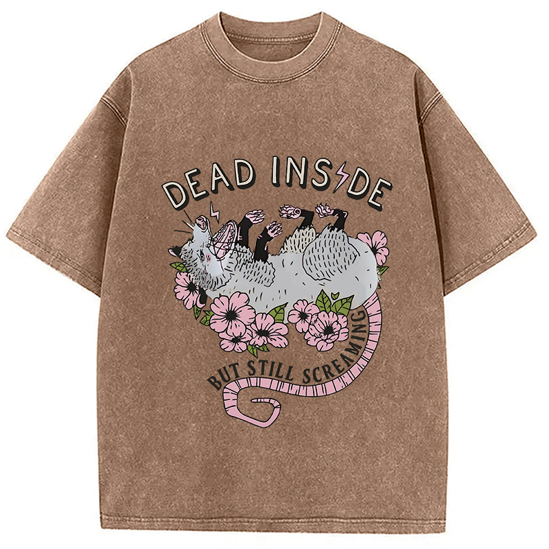 Modecanvas Dead Inside Washed T-Shirt