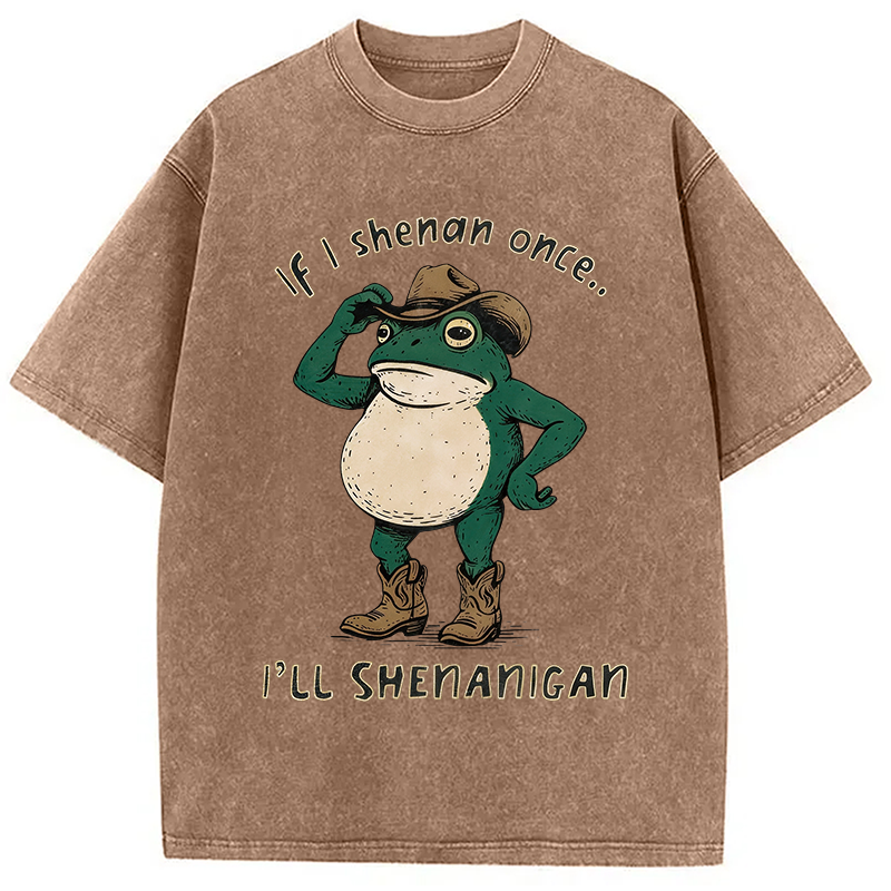 Modecanvas If I Shenan Once Funny Frog DTG Printing Washed T-Shirt