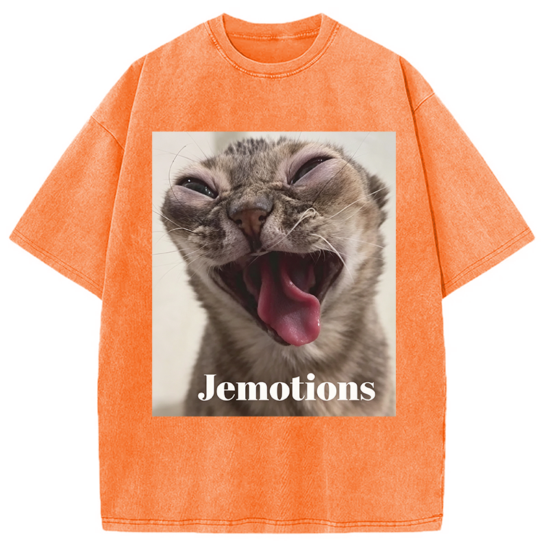 Modecanvas Jemotions Cat Meme DTG Printing Washed T-Shirt