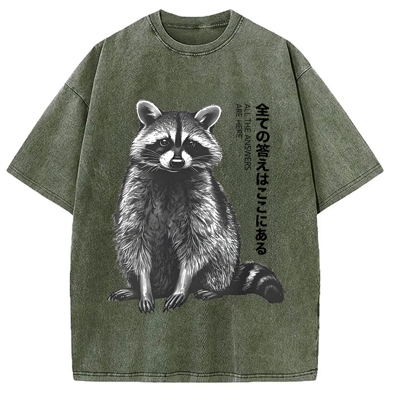 Modecanvas Funny Kawaii Raccoon Washed T-Shirt