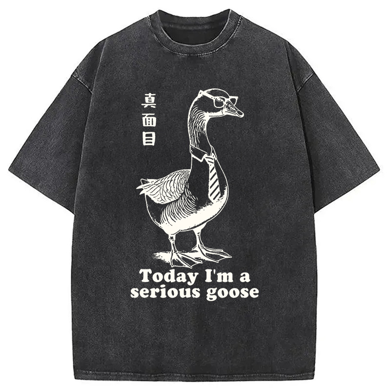 Modecanvas Serious Goose Washed T-Shirt