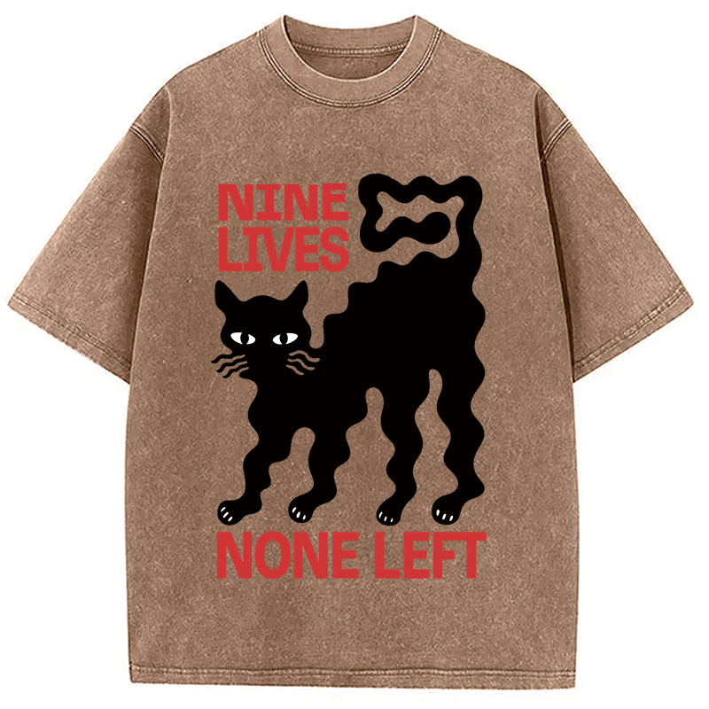 Modecanvas Neko Space Ramen Adventures Vintage Washed T-Shirt