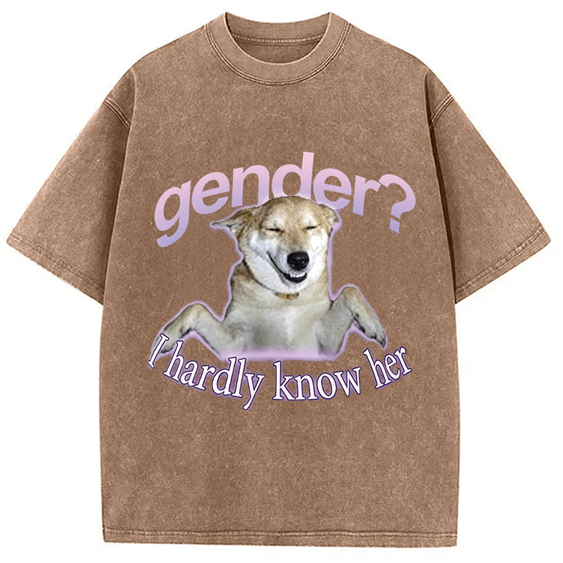 Modecanvas Gender I Hardly Know Her Meme DTG Printing Washed T-Shirt