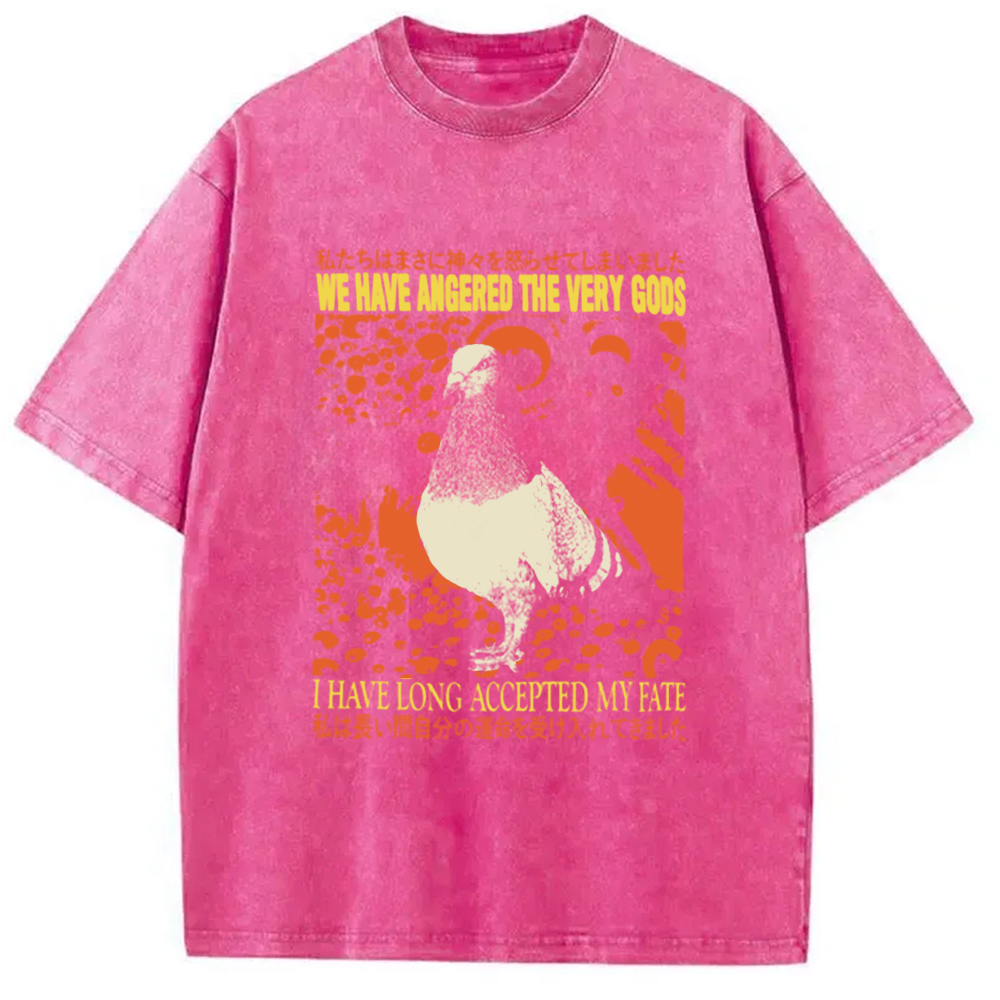 Modecanvas We Have Angered The Very Gods Washed T-Shirt