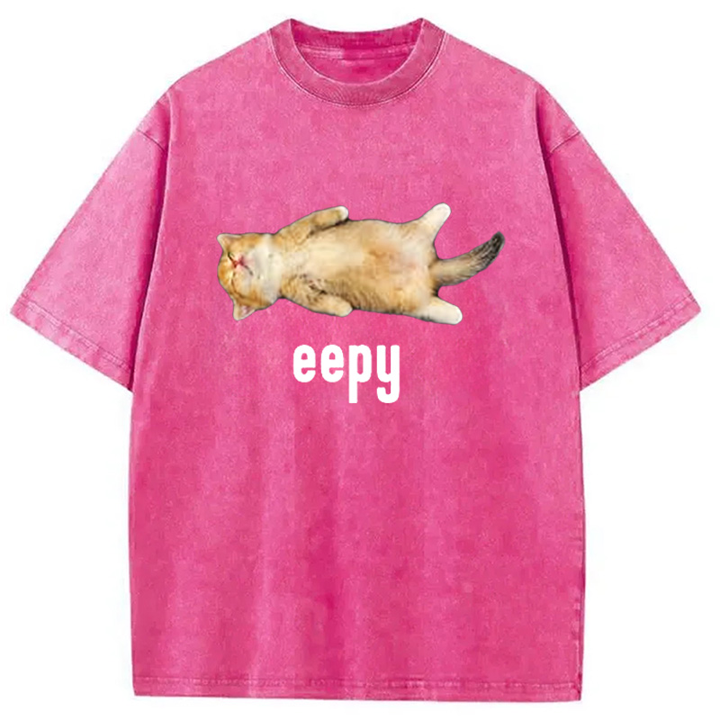 Modecanvas Silly Sleepy Cat Meme Washed T-Shirt-modecanvas