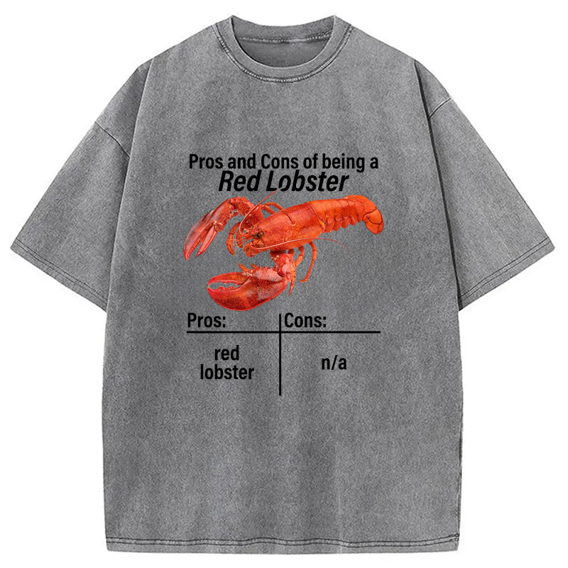 Modecanvas Pros And Cons Washed T-Shirt
