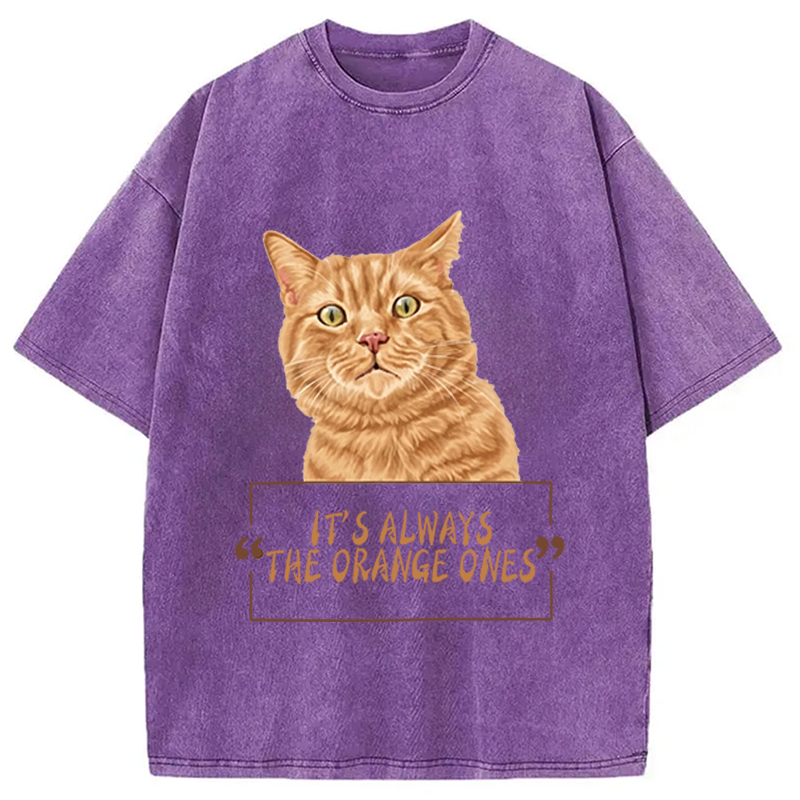 Modecanvas It Always Cat Meme DTG Printing Washed T-Shirt