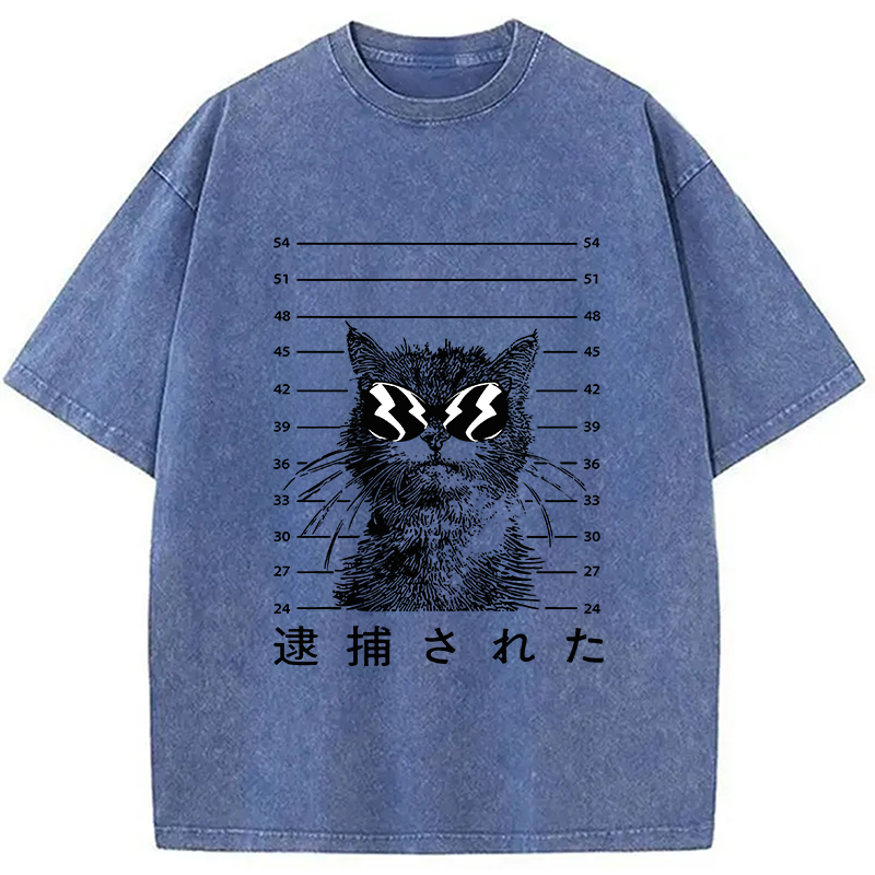Modecanvas Cat Was Arrested  Washed T-Shirt