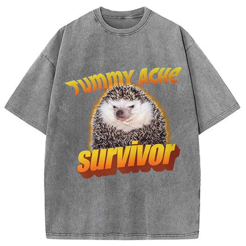 Modecanvas Tummy Ache Survivor Meme Washed T-Shirt-modecanvas
