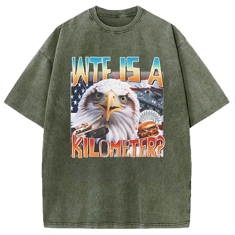 Modecanvas Funny America Freedom Eagle Meme Washed T-Shirt