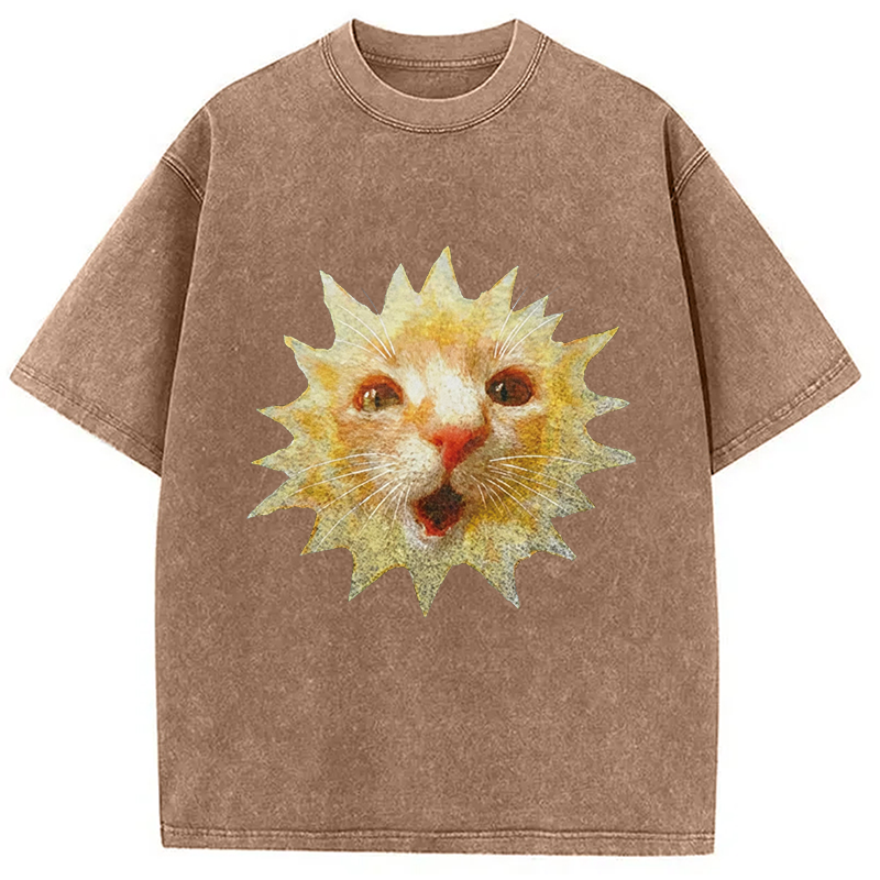 Modecanvas Sun Cat Meme DTG Printing Washed T-Shirt