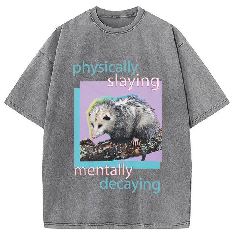 Modecanvas Physically Slaying Mentally Decaying DTG Printing Washed T-Shirt