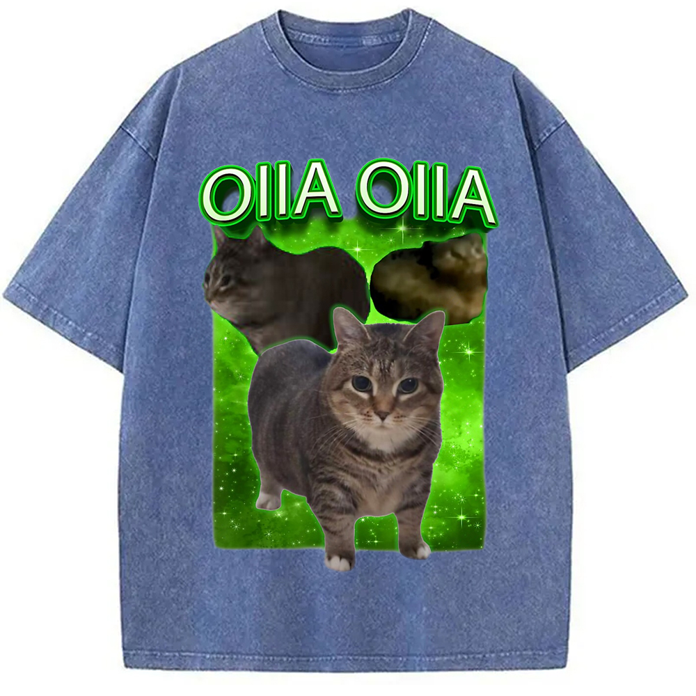 Modecanvas Oiia Cat Funny Meme Washed T-Shirt-modecanvas