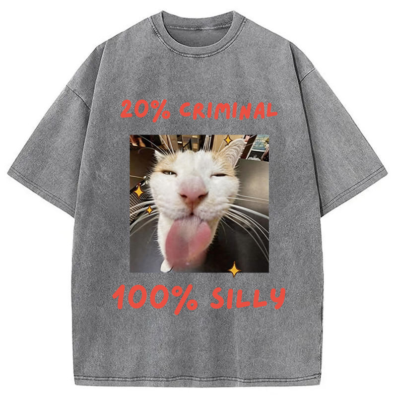 Modecanvas That Silly Cat Meme DTG Printing Washed T-Shirt