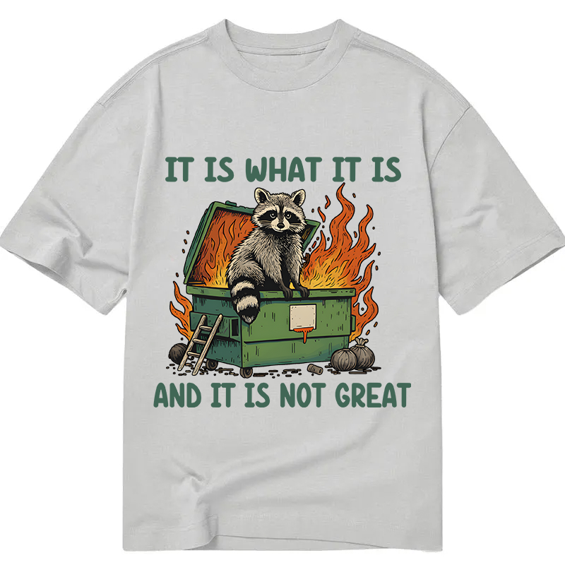 Modecanvas It Is What It Is Dumpster Fire Funny Raccoon Meme DTG Printing Classic T-Shirt-modecanvas