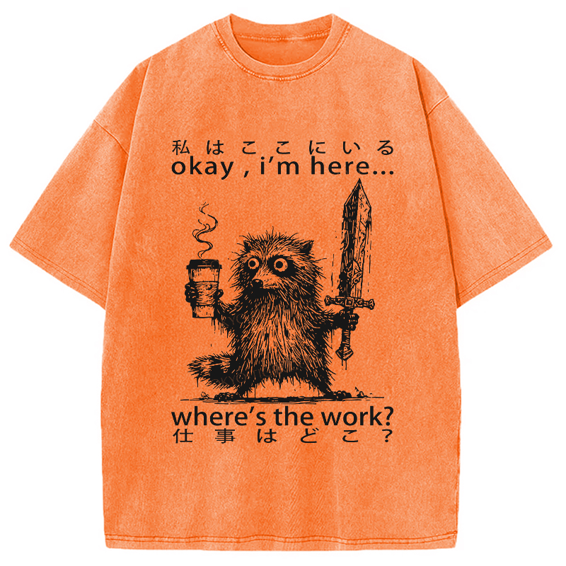 Modecanvas Raccoon Ready To Work Washed T-Shirt