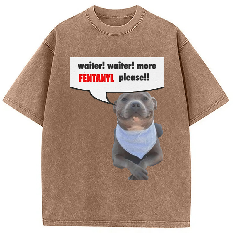 Modecanvas Waiter Waiter More Fentanyl Meme Washed T-Shirt