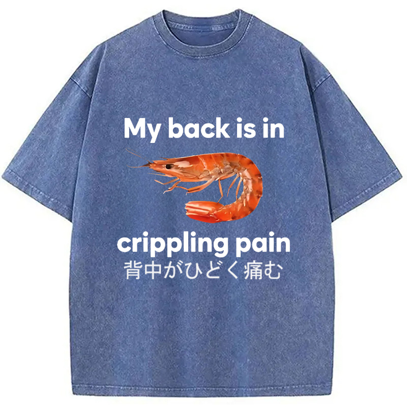 Modecanvas My Back Is in Crippling Pain Washed T-Shirt-modecanvas