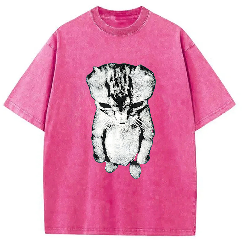 Modecanvas El Gato Munchkin Kitten DTG Printing Washed T-Shirt