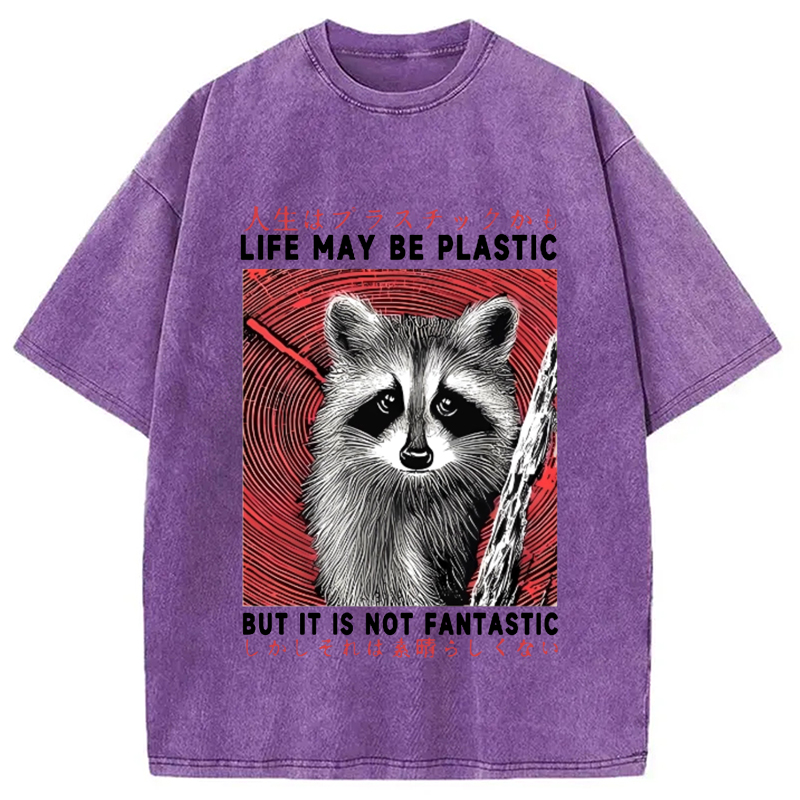 Modecanvas Raccoon Vintage Japanese Washed T-Shirt