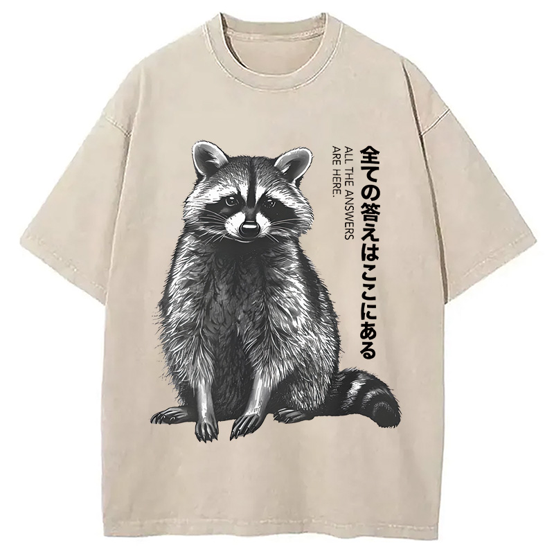 Modecanvas Funny Kawaii Raccoon Washed T-Shirt
