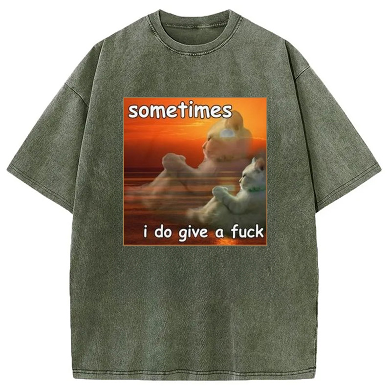 Modecanvas Sometimes I Do Give A Fxck Meme Washed T-Shirt