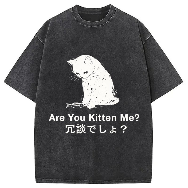 Modecanvas Are You Kitten Me DTG Printing Washed T-Shirt