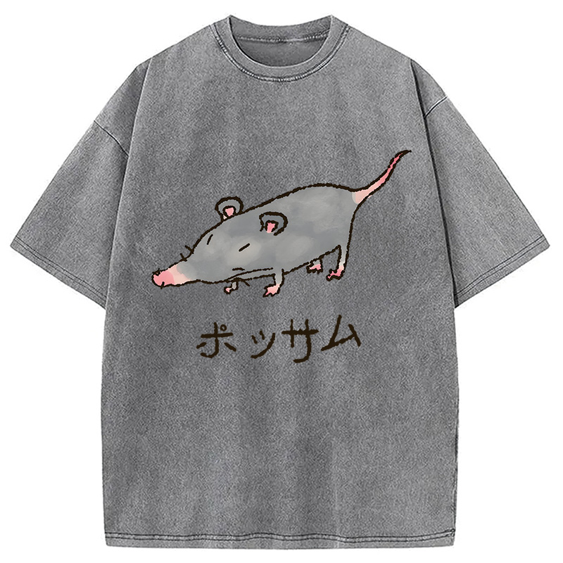 Modecanvas Possamu Rat Washed T-Shirt