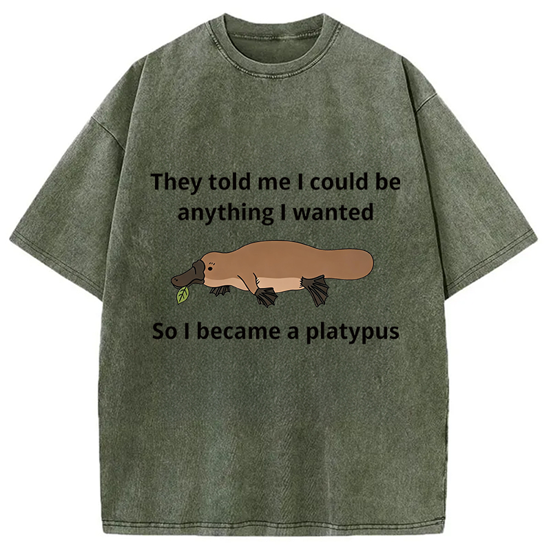 Modecanvas I Became A Platypus DTG Printing Washed T-Shirt