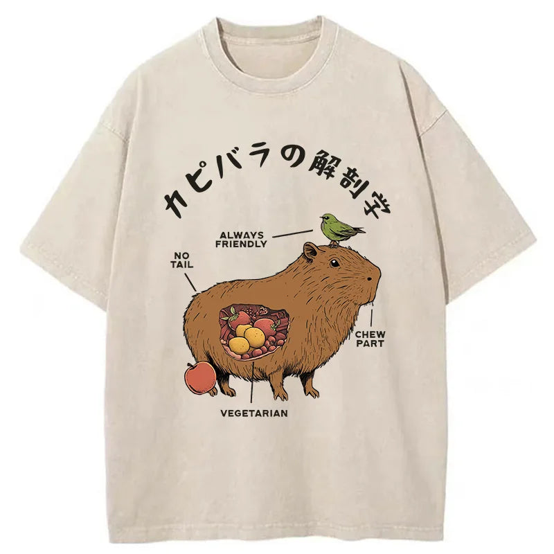 Modecanvas Capybara Anatomy Washed T-Shirt