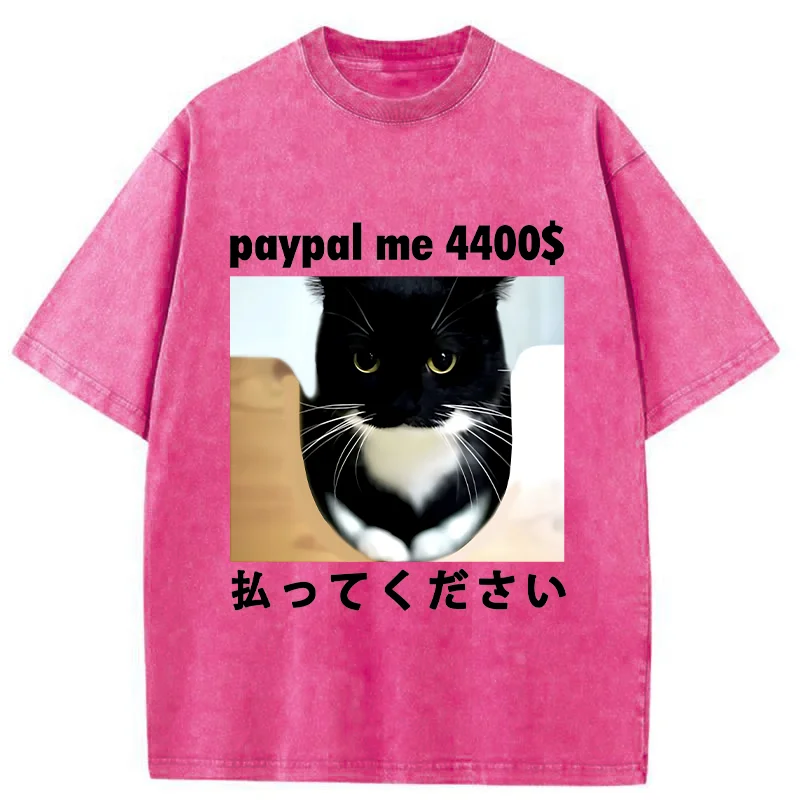 Modecanvas Please Give The Cat Money Washed T-Shirt