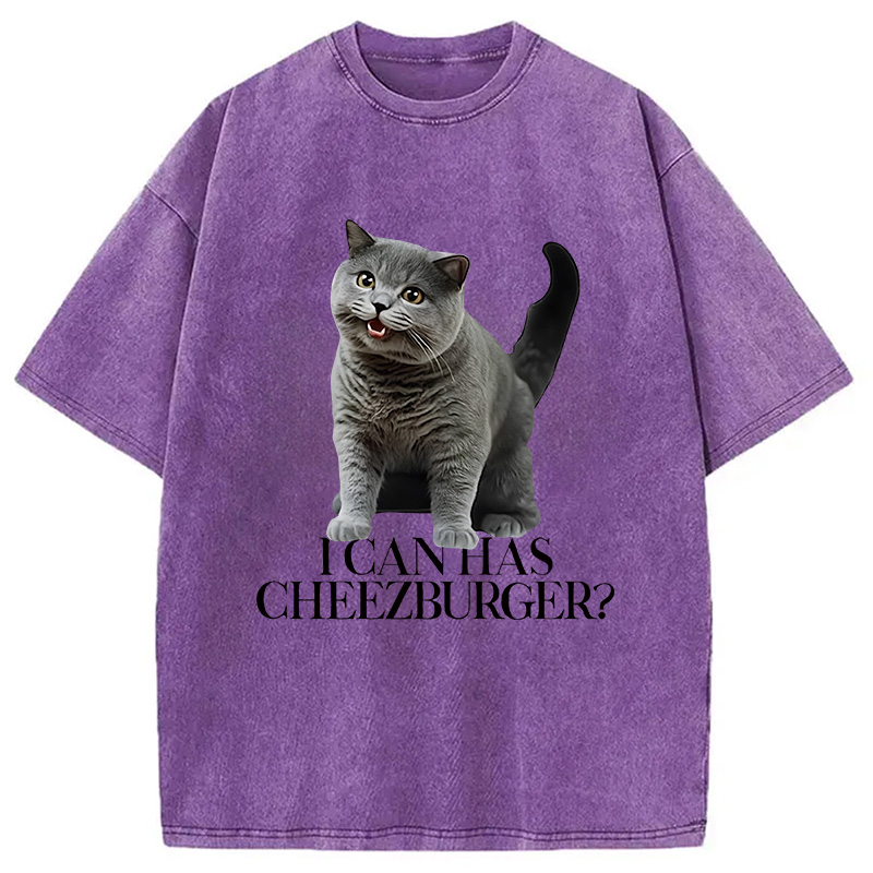 Modecanvas I Can Has Cheezburger Washed T-Shirt