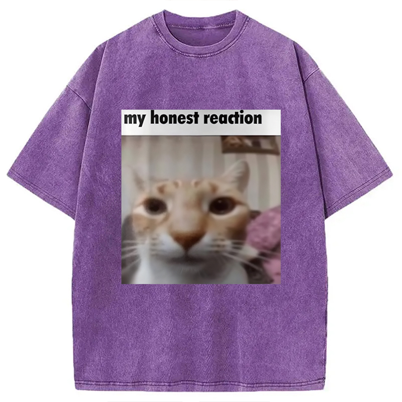 Modecanvas My Honest Reaction Cat Meme Washed T-Shirt