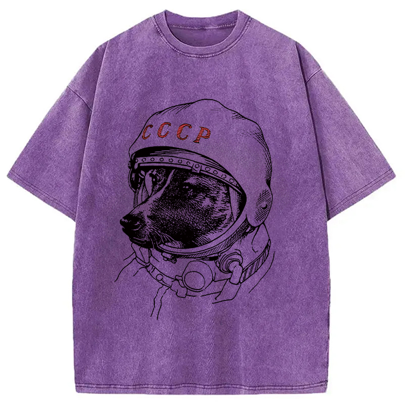 Modecanvas Astro Dog Washed T-Shirt